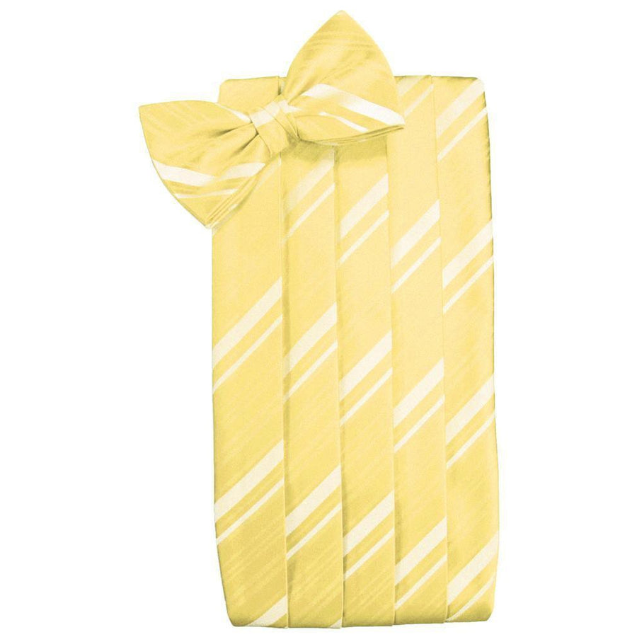 Mens Sunbeam Striped Satin Bow Tie and Cummerbund Set