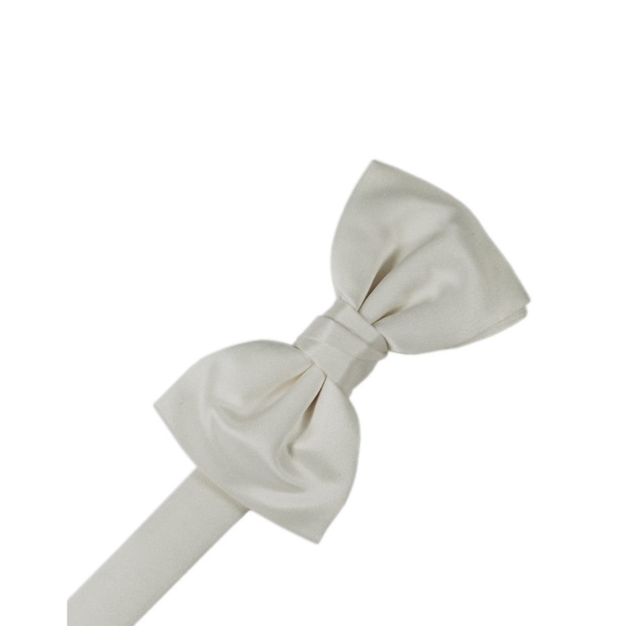 Mens Satin Platinum Bow Tie