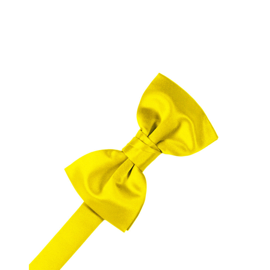 Mens Satin Sunbeam Bow Tie
