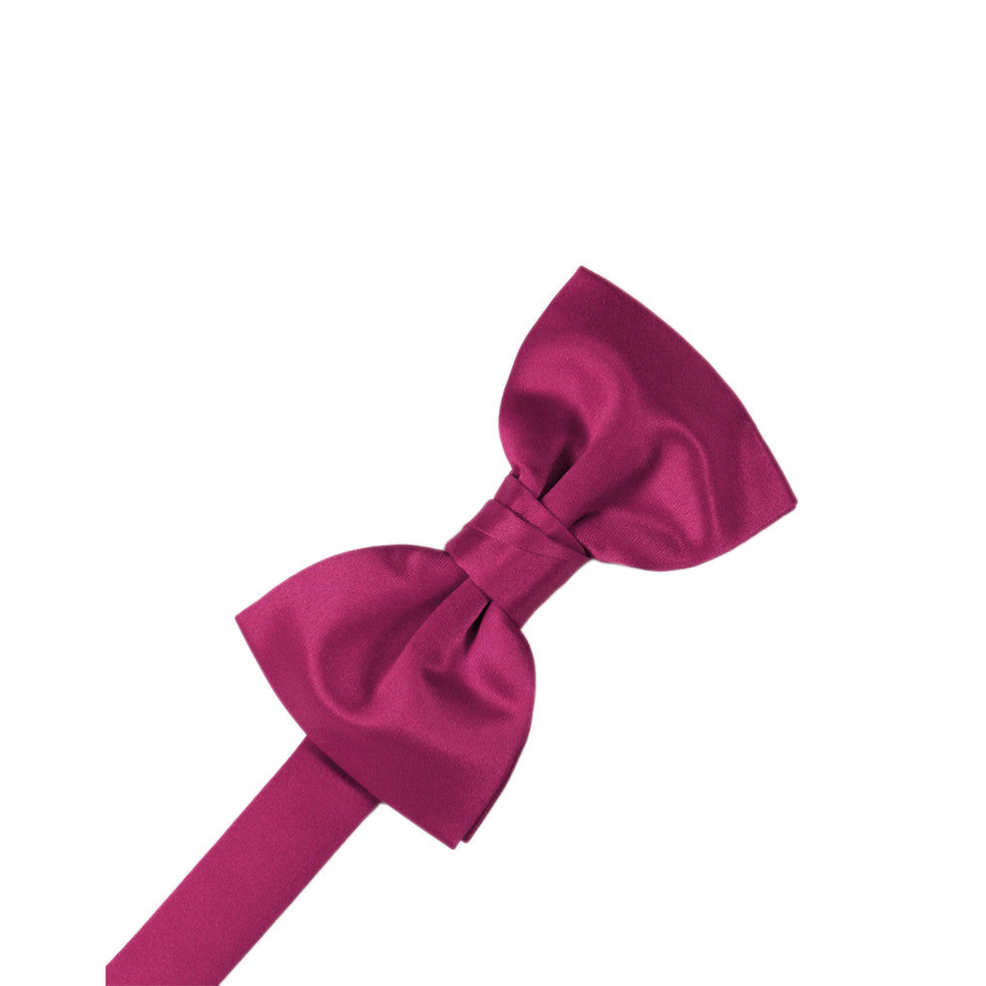 Mens Satin Watermelon Bow Tie