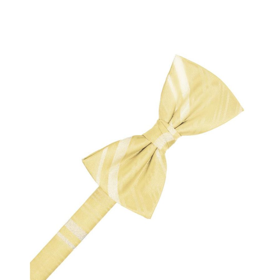 Mens Striped Satin Banana Formal Bow Tie