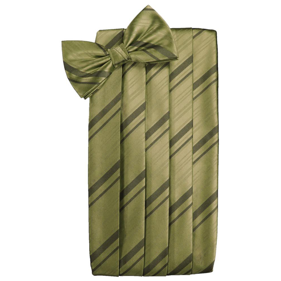 Mens Fern Striped Satin Bow Tie and Cummerbund Set