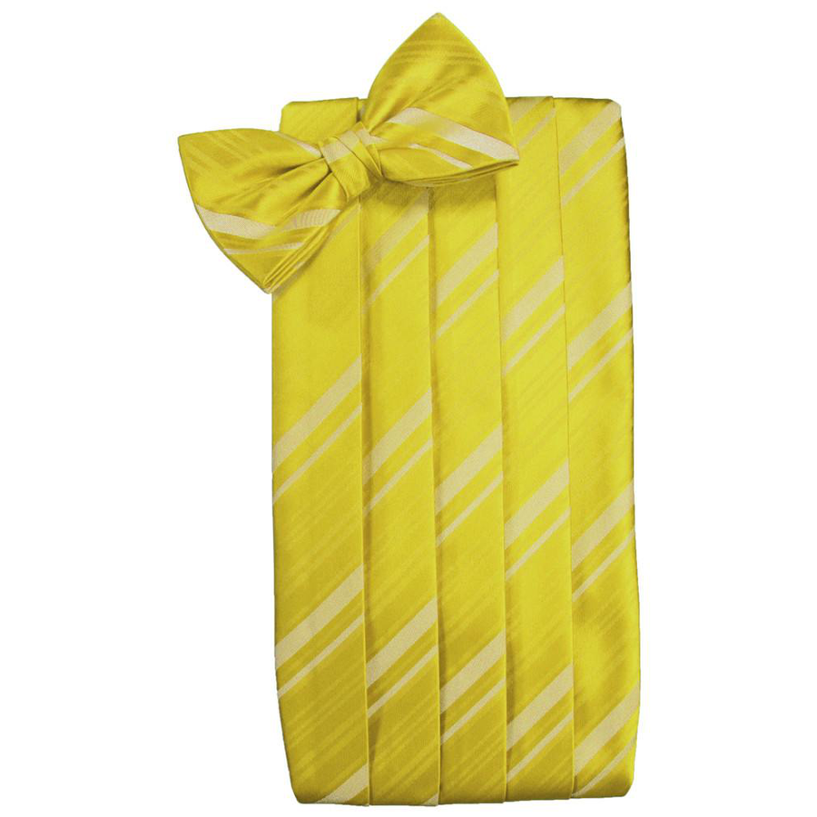 Mens Willow Striped Satin Bow Tie and Cummerbund Set